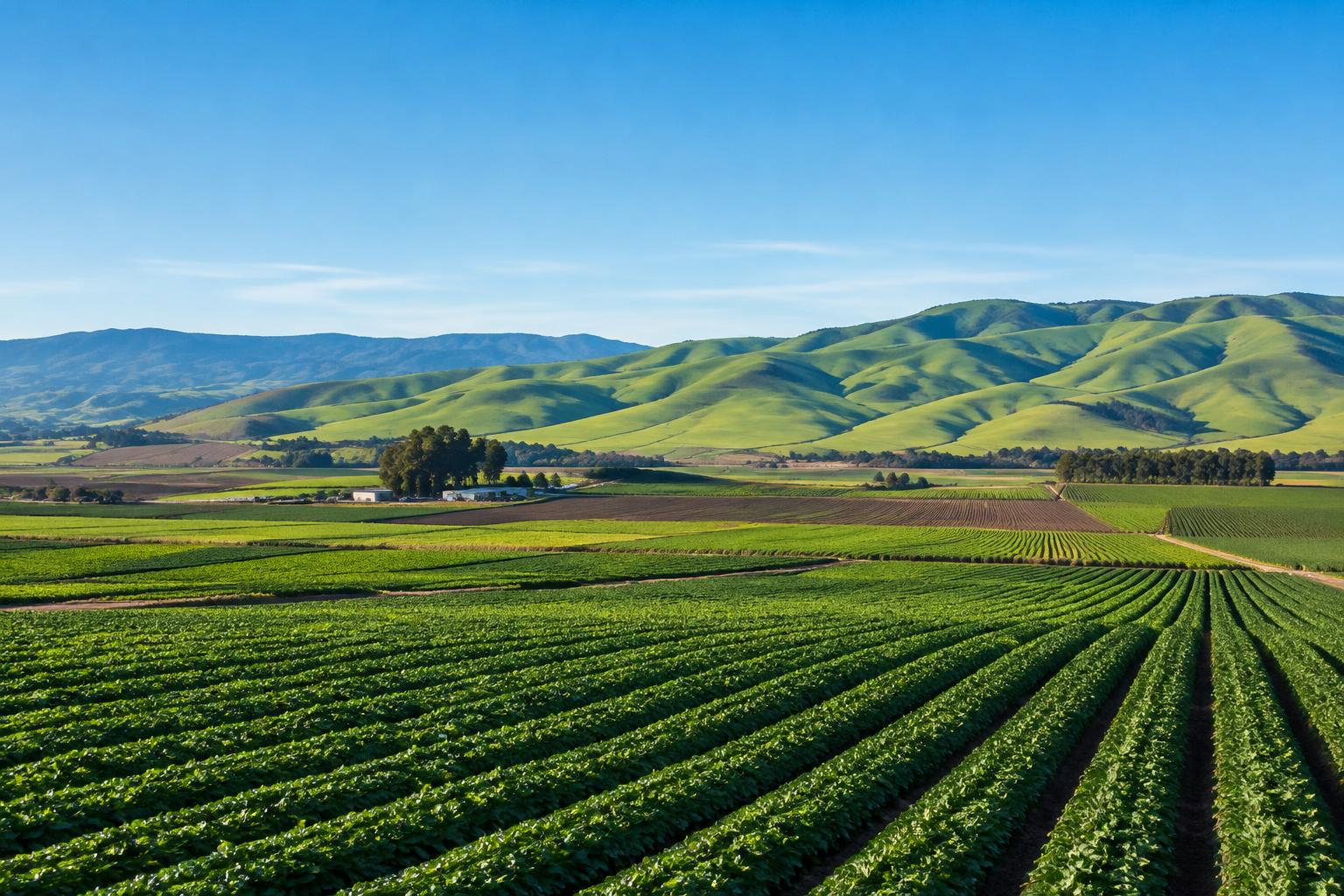Salinas & the Valley landscape